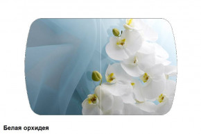 Стол Бостон 2 (1100*700) опоры Брифинг (Стекло/фотопечать Белая орхидея) в Югорске - yugorsk.germes-mebel.ru | фото